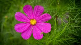 The Experience of Discovering the Whole of Yourself