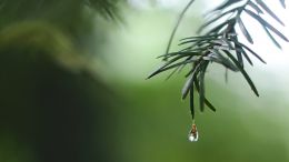 Agree to Let Go of Useless Suffering