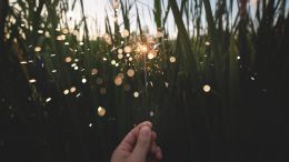 Let True Purpose Renew Your Life