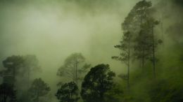 How to Bring Balance to Every Moment