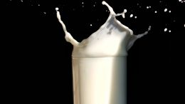 Learn in the Present Moment and Disarm Any Regret