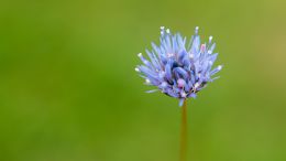 Discover the Power of Self-Awareness