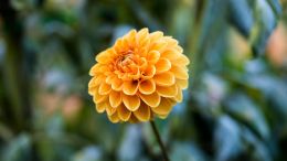 Be Present to the Incoming Moment