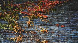 The Unthinkable Ground of a New Order of Self