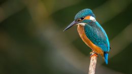 Move from the Mental How into the Spiritual Now