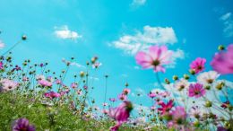 Online Study Group Meeting for Monday (4/1/2024)