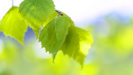 Online Study Group Meeting for Monday (5/22/2023)