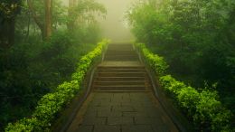 Step into the Matrix of Real Life and Out of the World of Fear and Worry