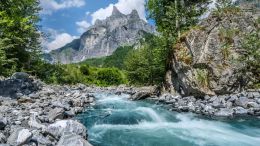 The Great Movements of Expansion and Contraction