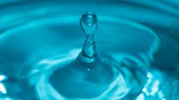 With Friends Like These... Who Needs Enemies!