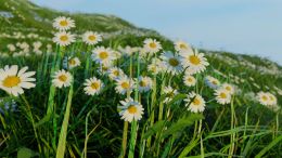 Online Study Group Meeting for Monday (1/29/2024)