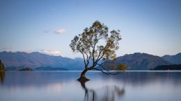 There's No Real Substitute For Being Free