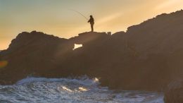 Catch and Release Useless Painful Reactions