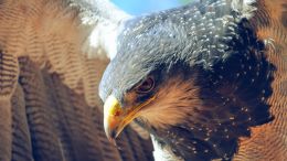 Awaken the Strength You Need to Walk Away from Any Self-Compromising Behavior