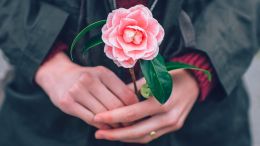 How to Want What Life Wants (No Matter What It Gives You!)