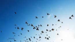 How to Free Yourself From Any Fear... No Matter What!