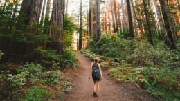 The 5-Step Path to Realizing Perfect Freedom