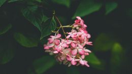 The Secret of Being at Peace with Yourself