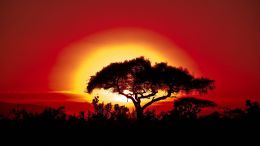 Transforming Suffering is the Triumph of the Soul