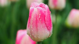 Reclaiming Your Right to Make a Fresh Start in Life