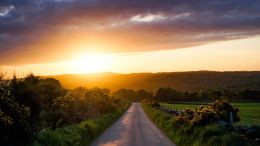 Take the Short Road Back Home