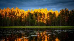 Online Study Group Meeting for Monday (8/7/2023)