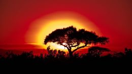 Spend Your Time Remembering That You've Been Given a Life