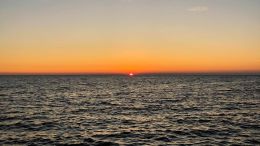 Student Talks on "Your Journey to the Peace that Passes All Understanding" (11/11/22)