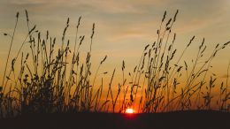 Make Every Experience Count Toward Enlightenment