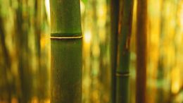 The Lost Secrets of Healing Your Heart, Mind, and Soul