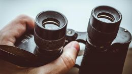 Everything You Need to Know to Change the World You See