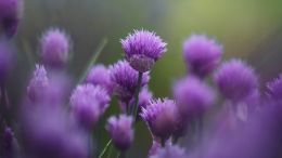 The First Aim is to Remember Yourself