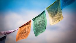 Connect Yourself Directly to the Source of Wisdom