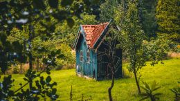 Online Study Group Meeting for Monday (7/3/2023)