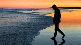 Student Q&A with Guy on "The End of All Useless Struggle with Life Starts Right Here" (6/21/24)