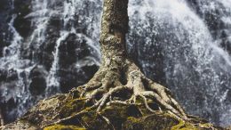 Be Released from the Invisible Root of Fear