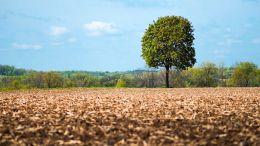 Student Talks on "Release Yourself from Painful Reactions with a Single Realization" (10/21/22)
