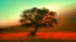 Go Beyond Painful Limitation to Realize Fearless Being