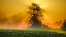 Freedom from the Unimaginable Source of Fear, Struggle, and Sorrow