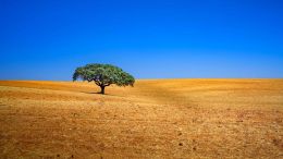 Online Study Group Meeting for Monday (7/10/2023)