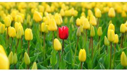 Online Study Group Meeting for Monday (2/12/2024)