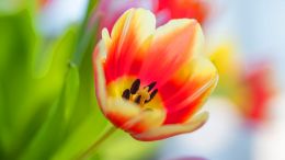 Online Study Group Meeting for Monday (6/19/2023)