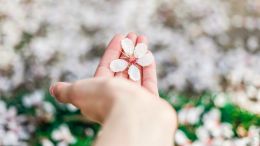 Discover the Divine Secret Behind the Law of "Ask and Receive"