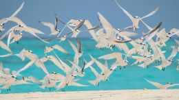 What Must I Do to Succeed Spiritually?