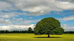 Love is the Perfect Self-Purifier