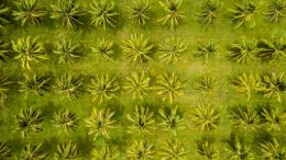 Online Study Group Meeting for Monday (9/12/2022)