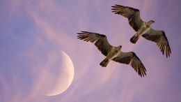 Move from the Mental How into the Spiritual Now