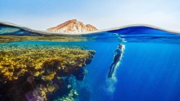 Student Q&A with Guy on "Go Beyond Painful Limitation to Realize Fearless Being" (6/30/21)