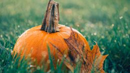 Online Study Group Meeting for Monday (10/16/2023)