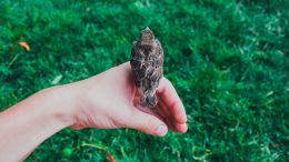 The First Requirement for Those Who Seek to Be Set Free